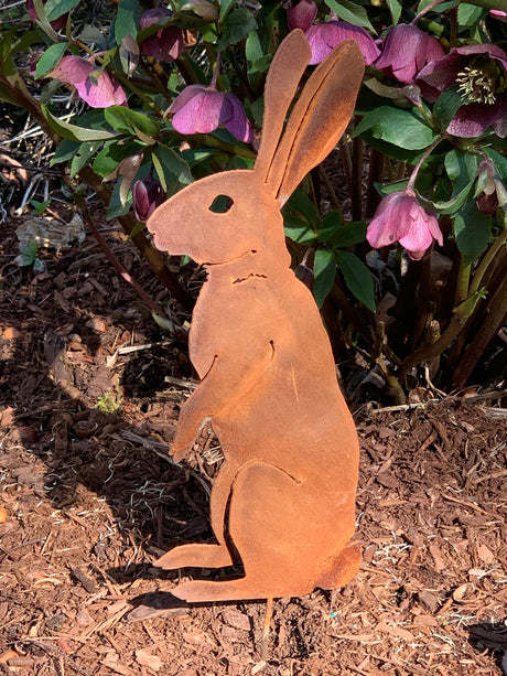 Plants & Animals