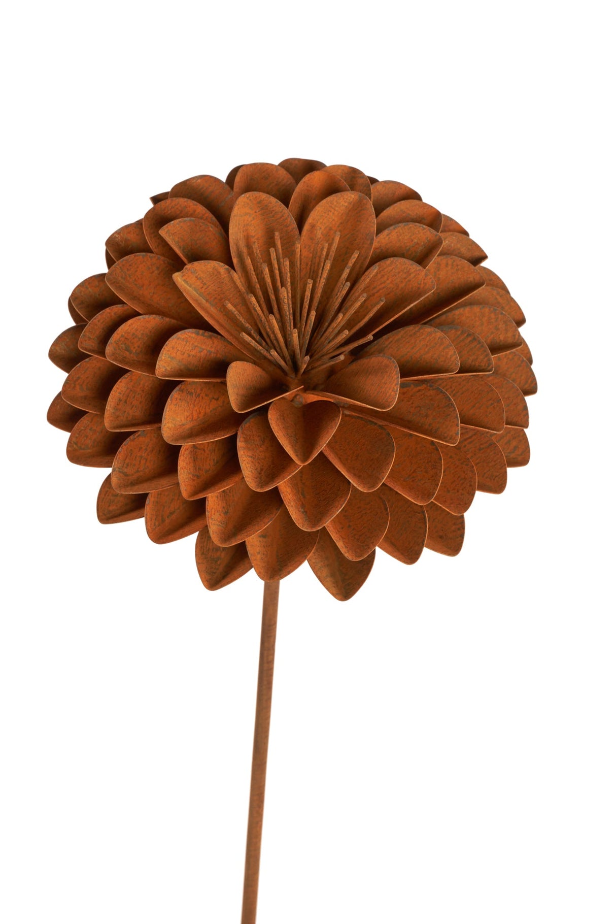 Grand Anastasia Flower (NEW)