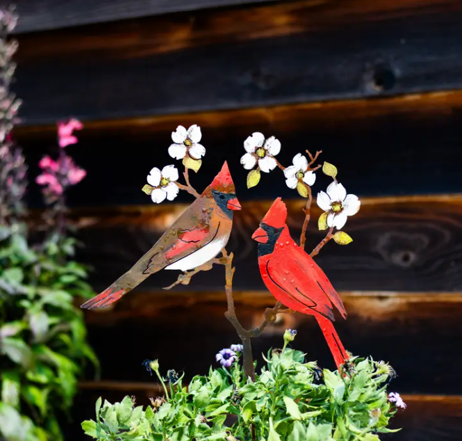 Cardinals On Dogwood Stake