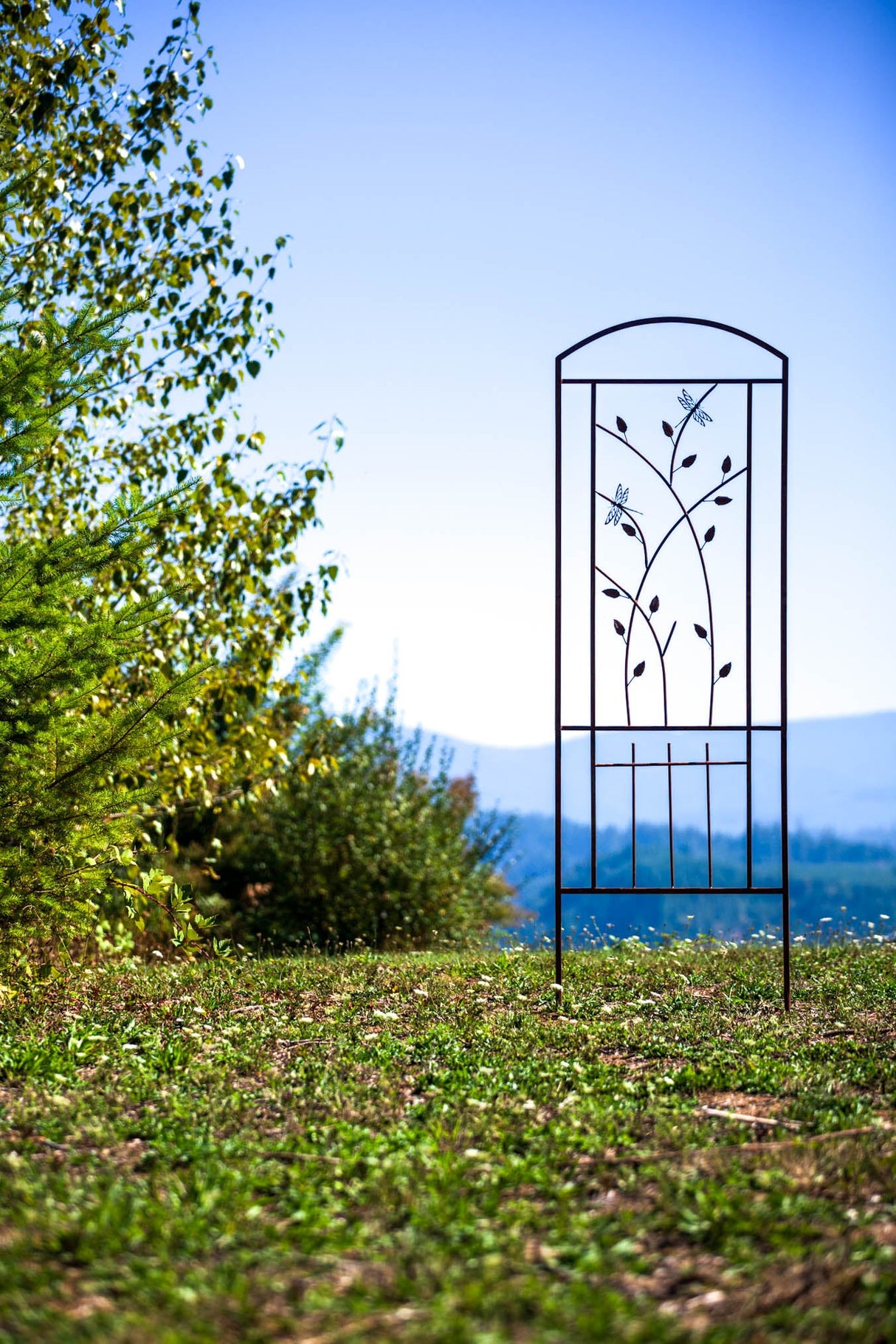 Dragonfly Trellis