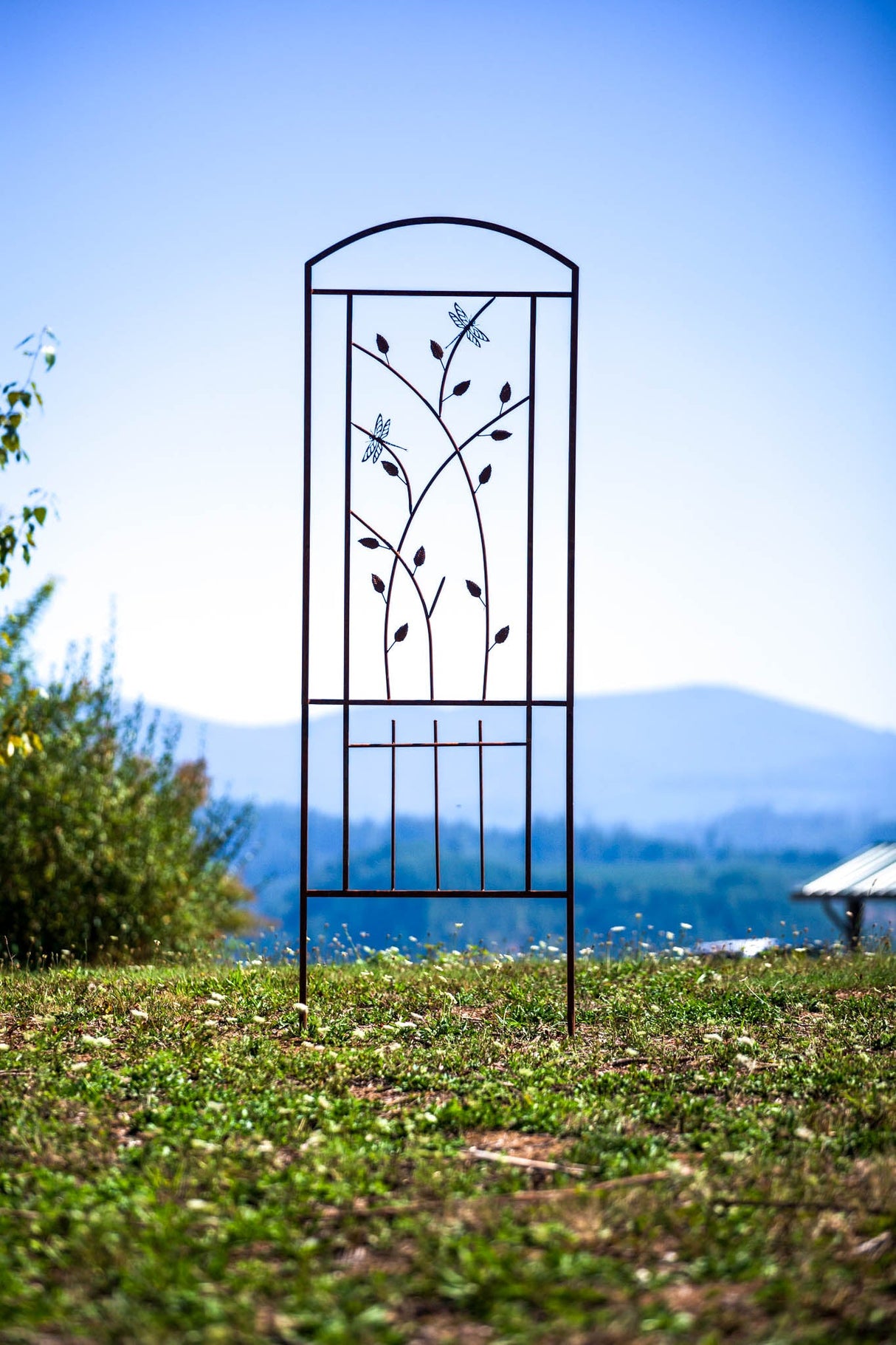 Dragonfly Trellis