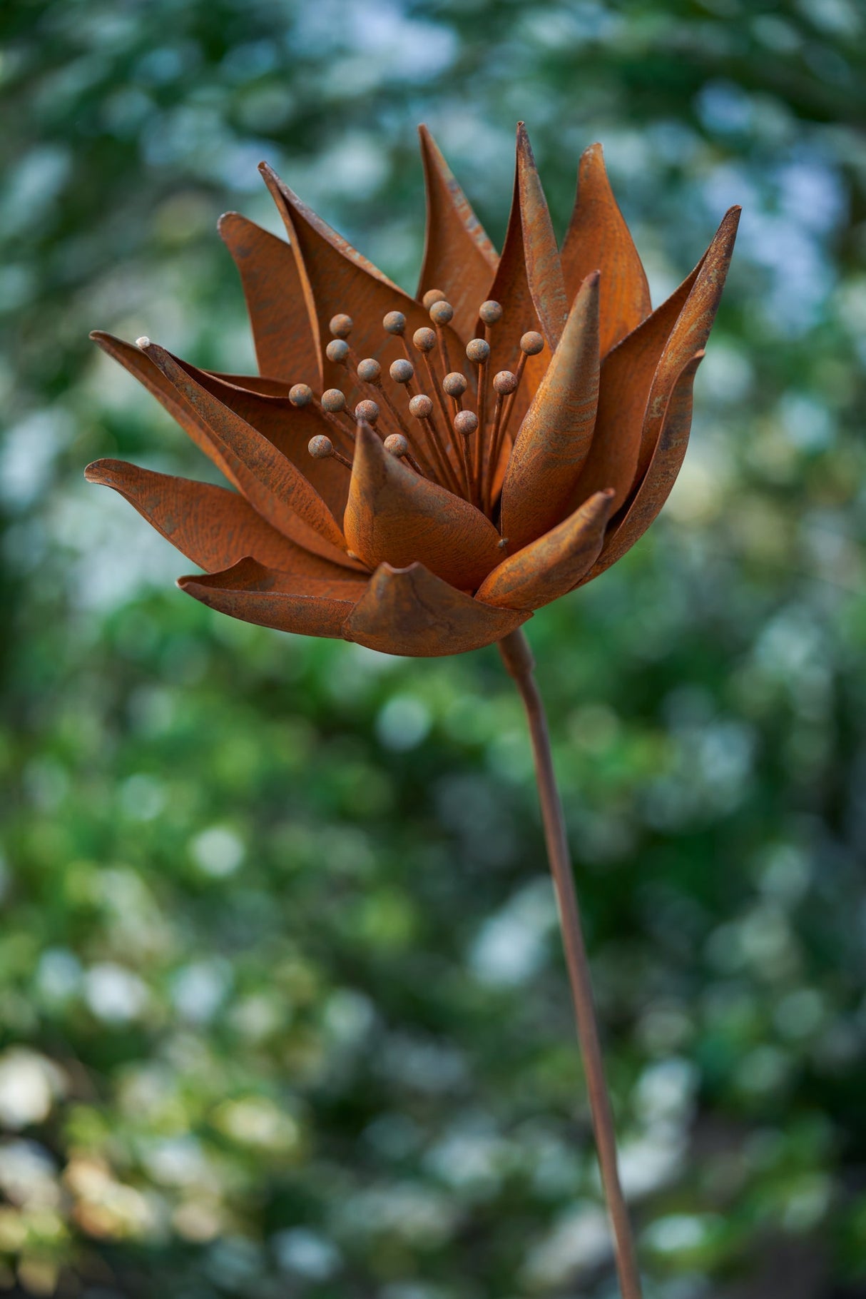 Ember Flower
