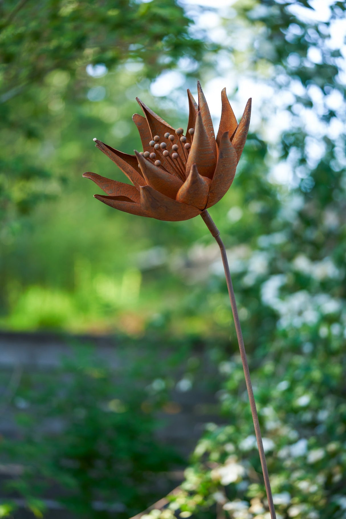 Ember Flower