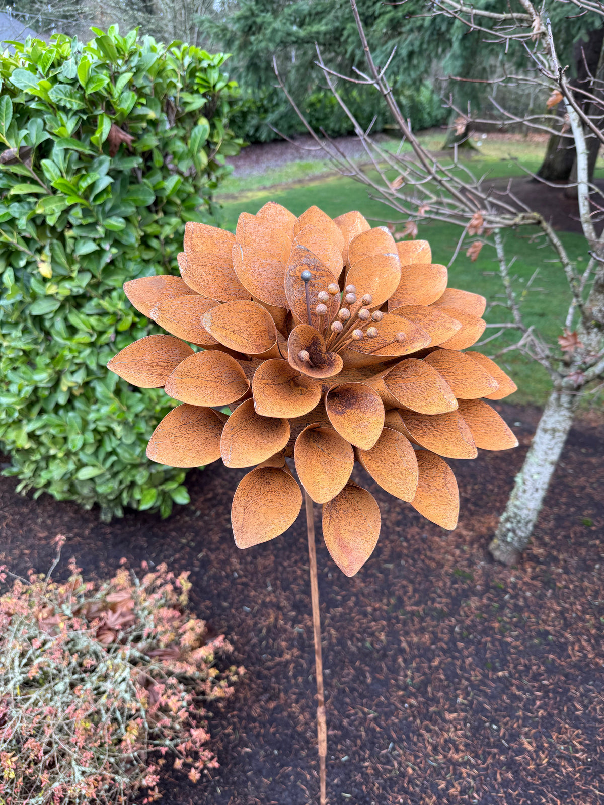 Lizabeth Flower (NEW)