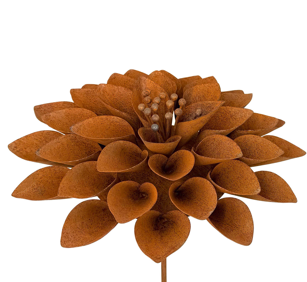 Lizabeth Flower (NEW)