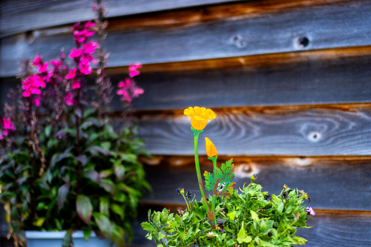 California Poppy Flower Painted Garden Pick