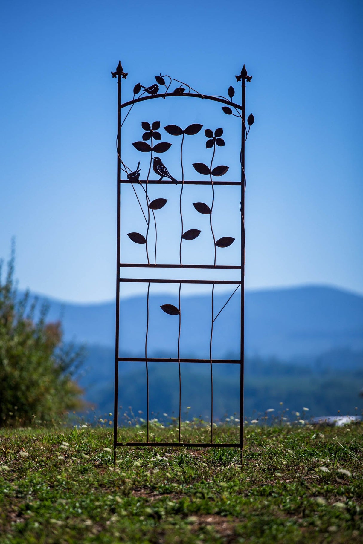 Bird and Flower Trellis