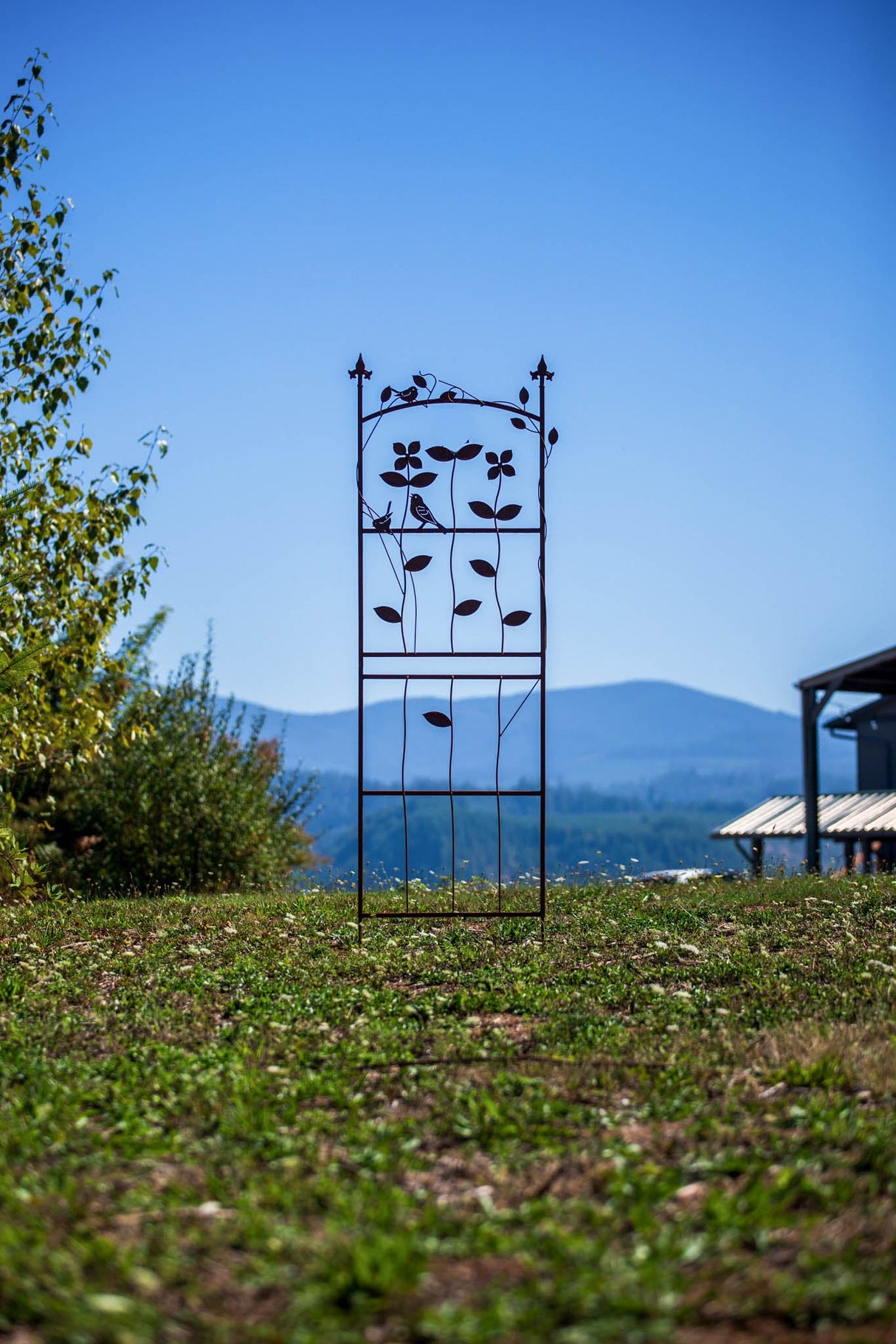 Bird and Flower Trellis