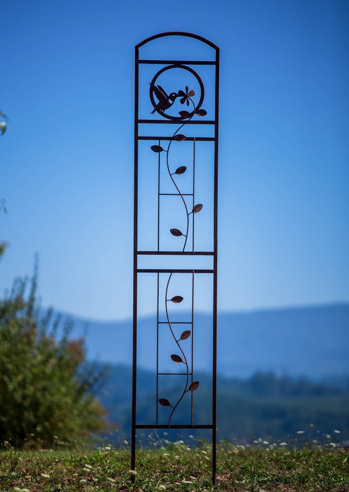 Hummingbird Trellis