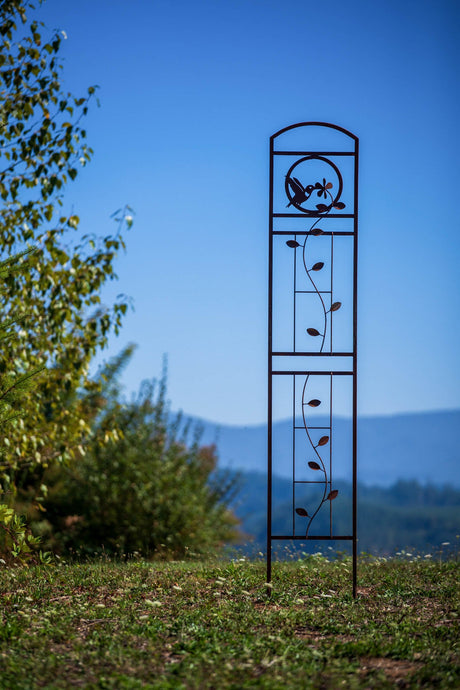 Hummingbird Trellis