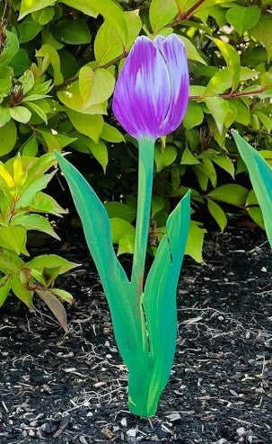 Purple Princess Tulip Pick