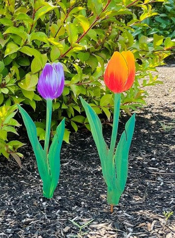 Purple Princess Tulip Pick
