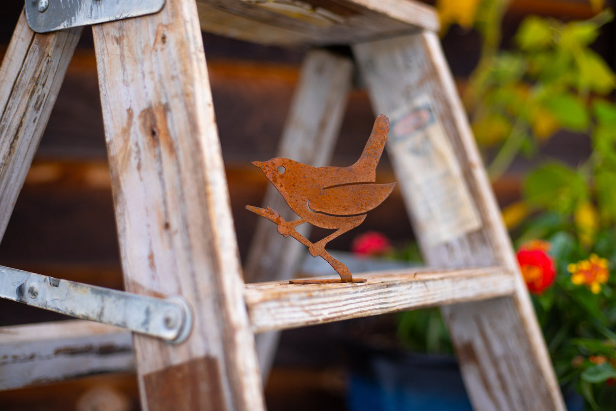 Wren on a Branch