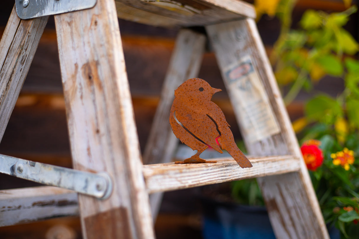 Yellow Warbler