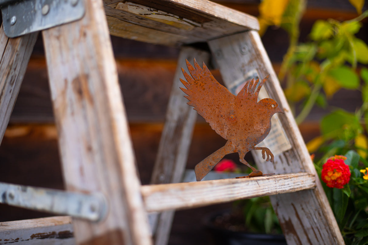 Flying Bluebird