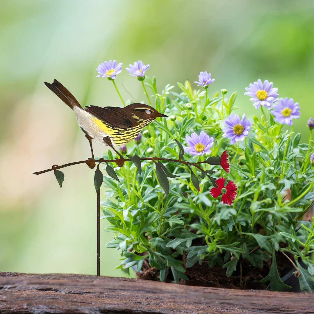 Waterthrush on Red Blossom Pick