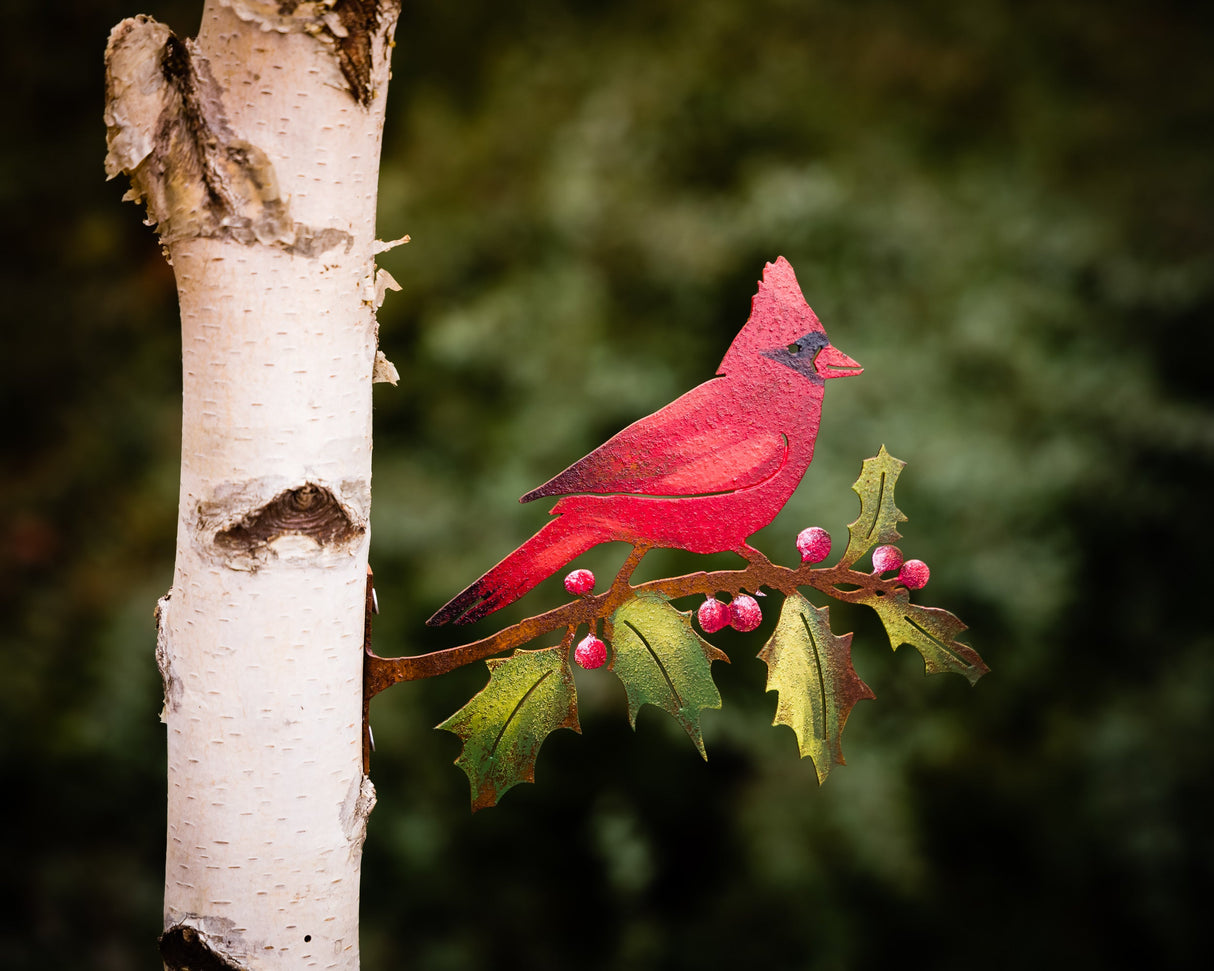 Cardinal on Holly Branch