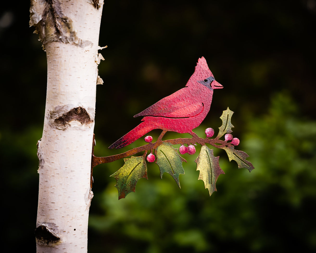 Cardinal on Holly Branch