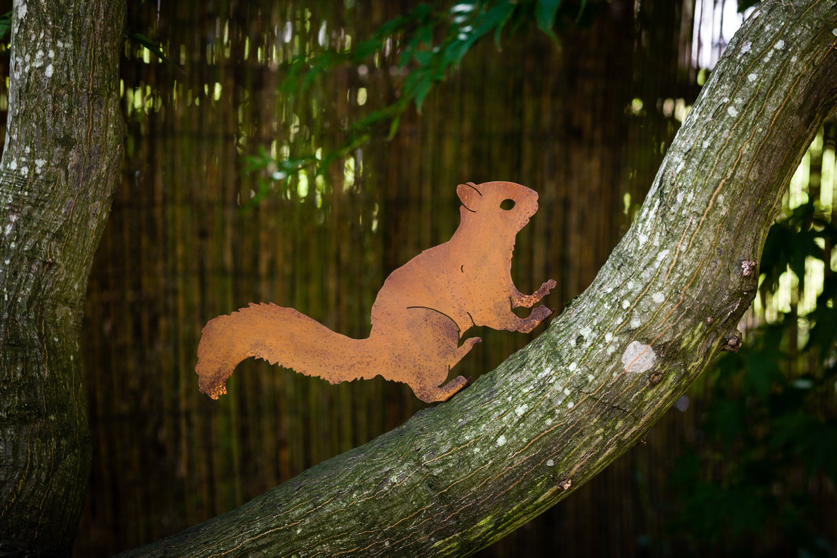 Alert Squirrel