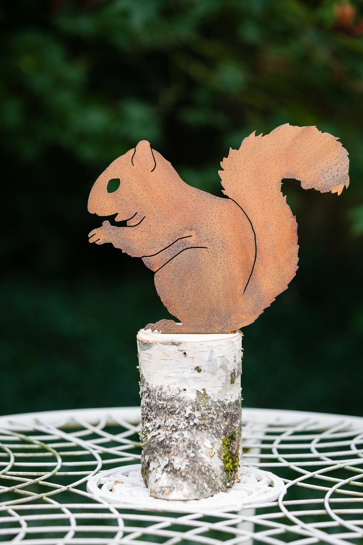 Nibbling Squirrel
