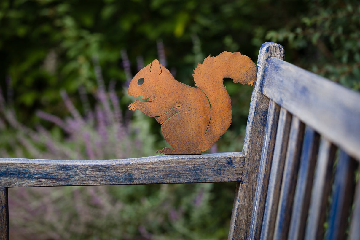 Nibbling Squirrel