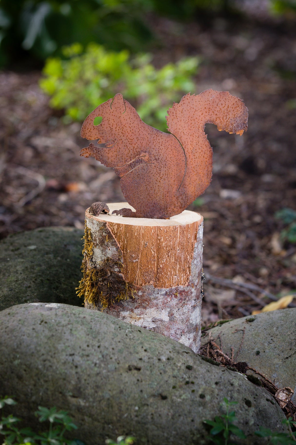 Nibbling Squirrel