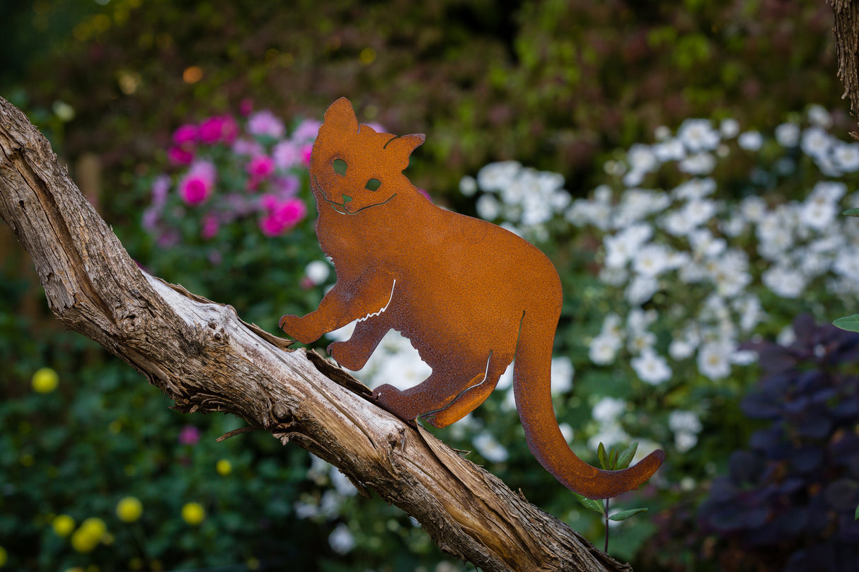 Walking Cat