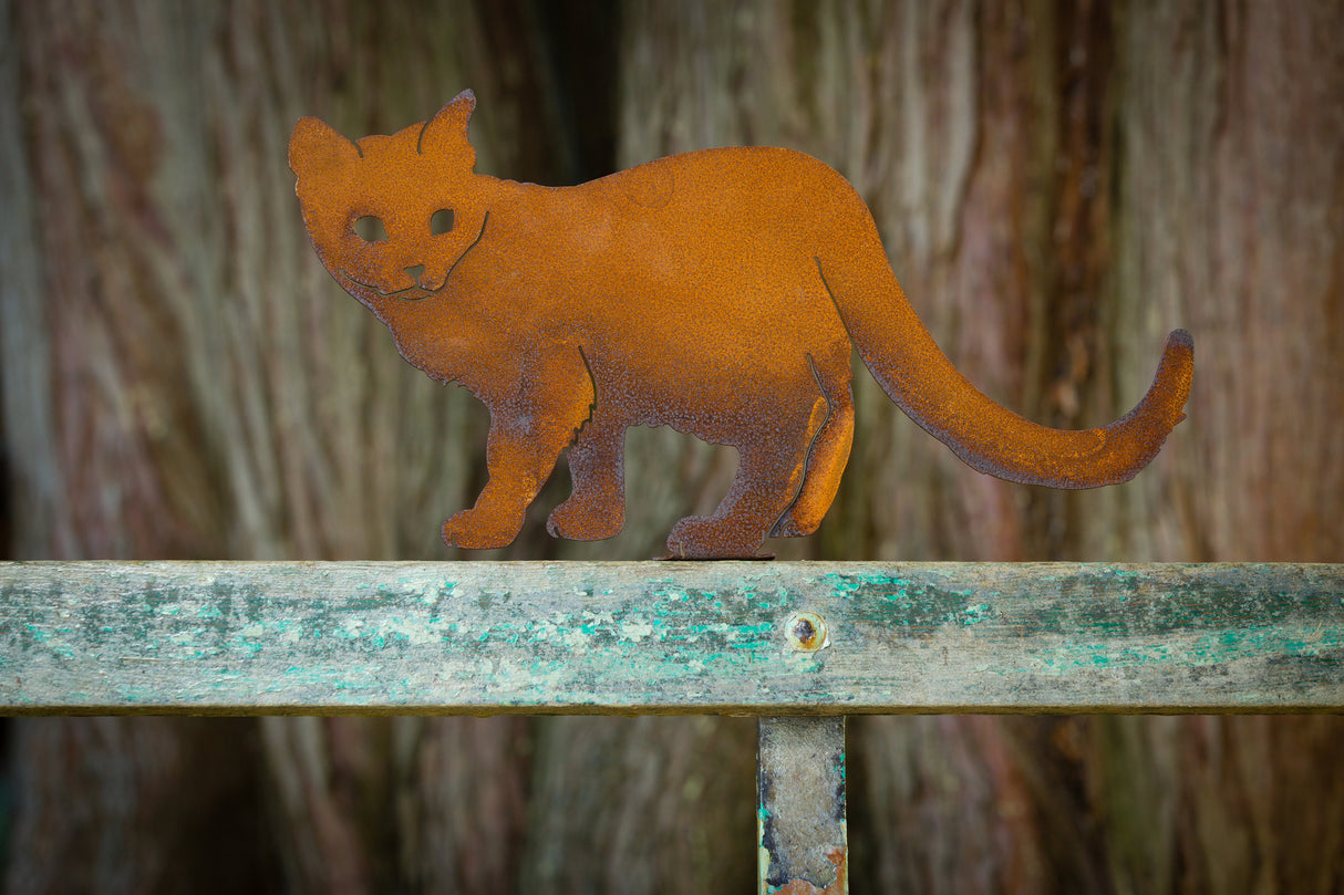 Walking Cat