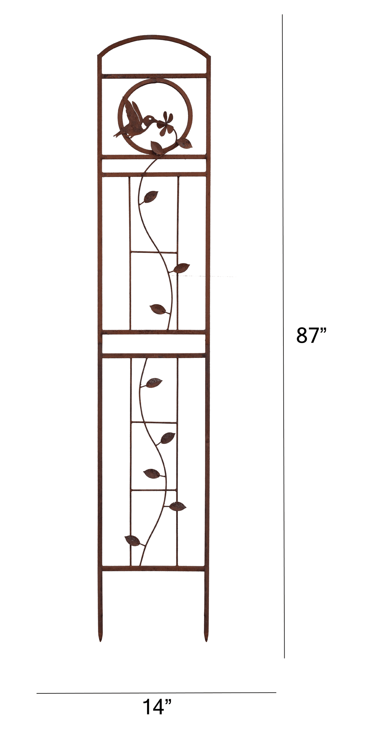 Hummingbird Trellis