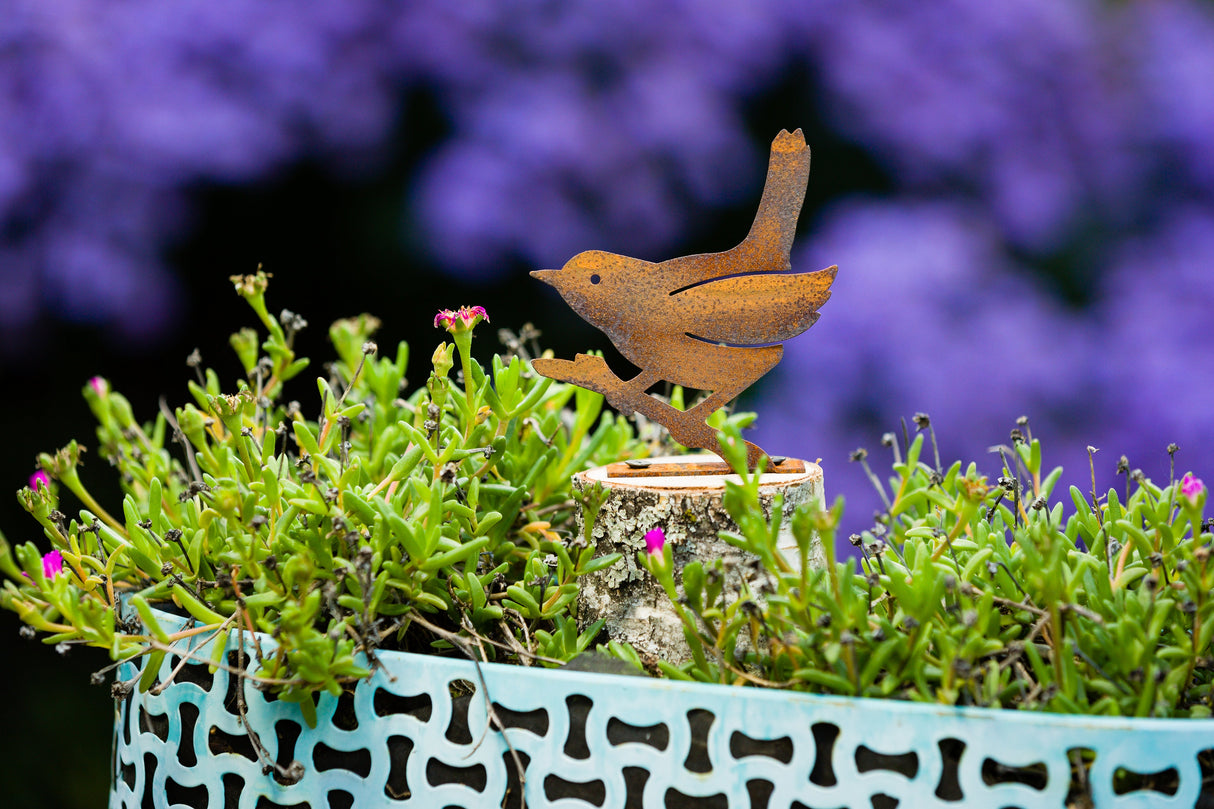 Wren on a Branch