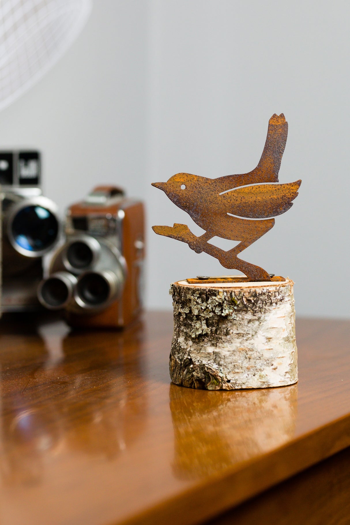 Wren on a Branch