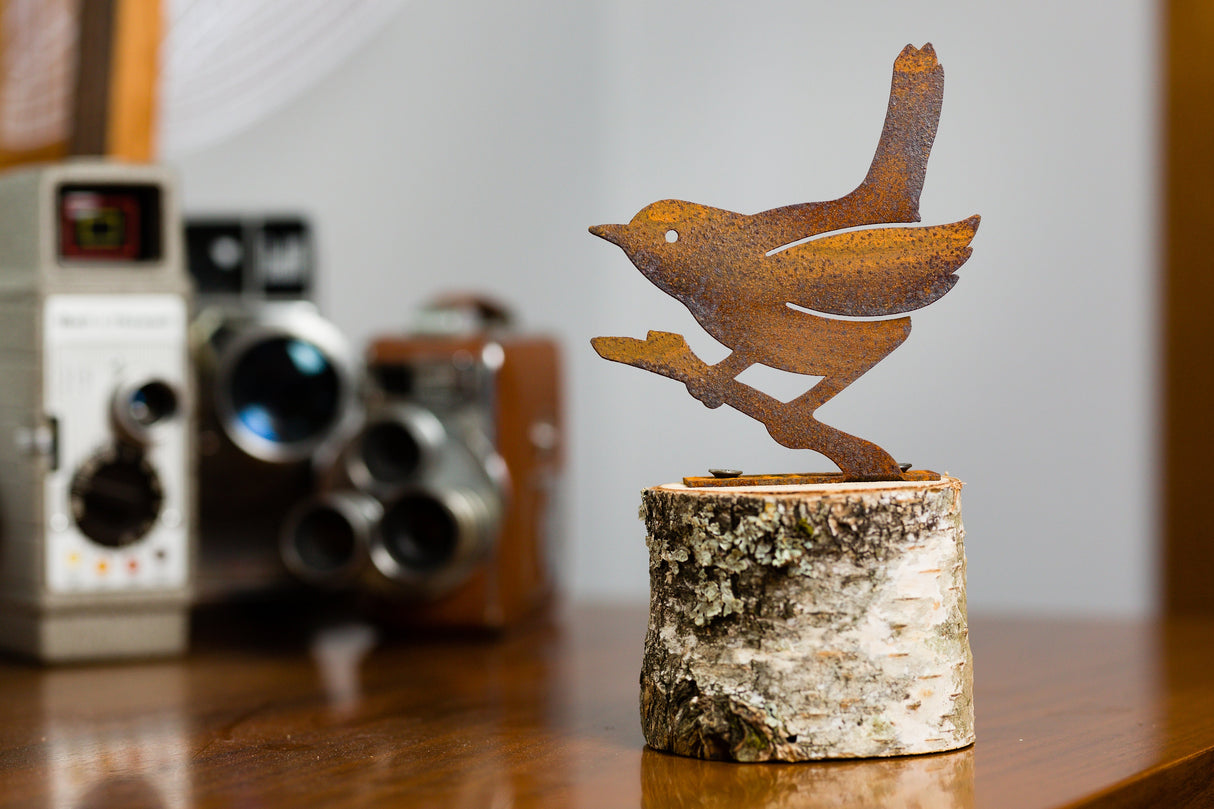 Wren on a Branch