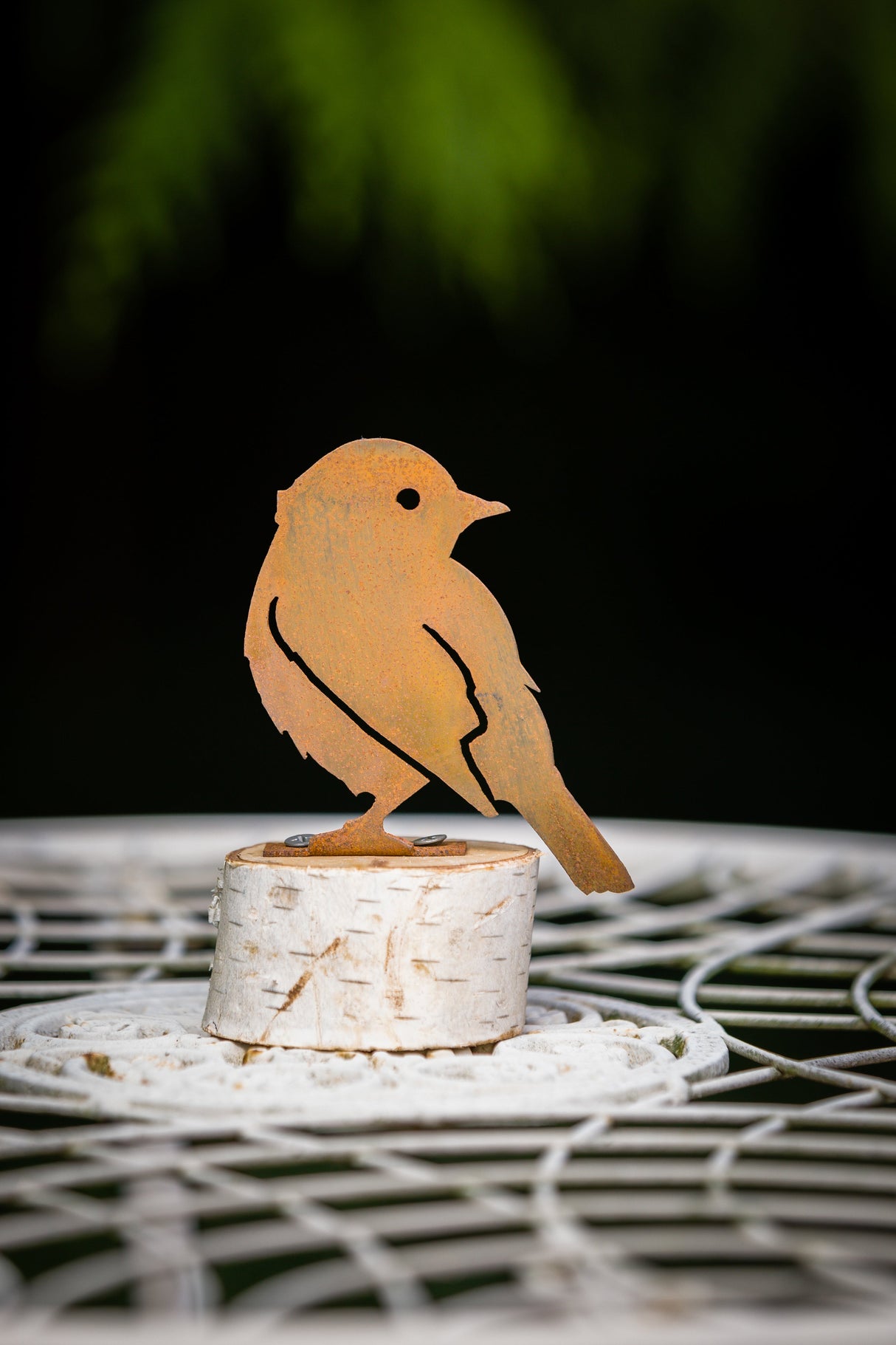 Yellow Warbler