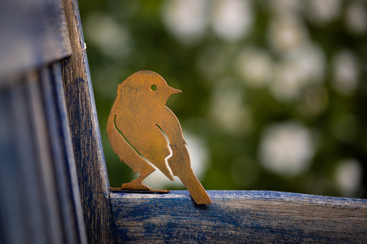 Yellow Warbler