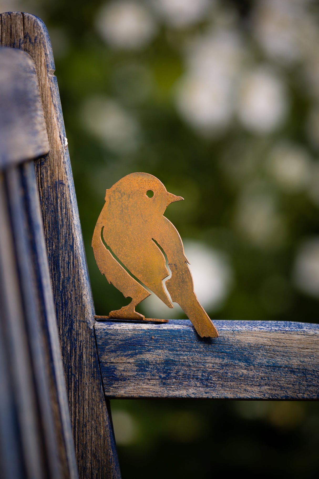 Yellow Warbler