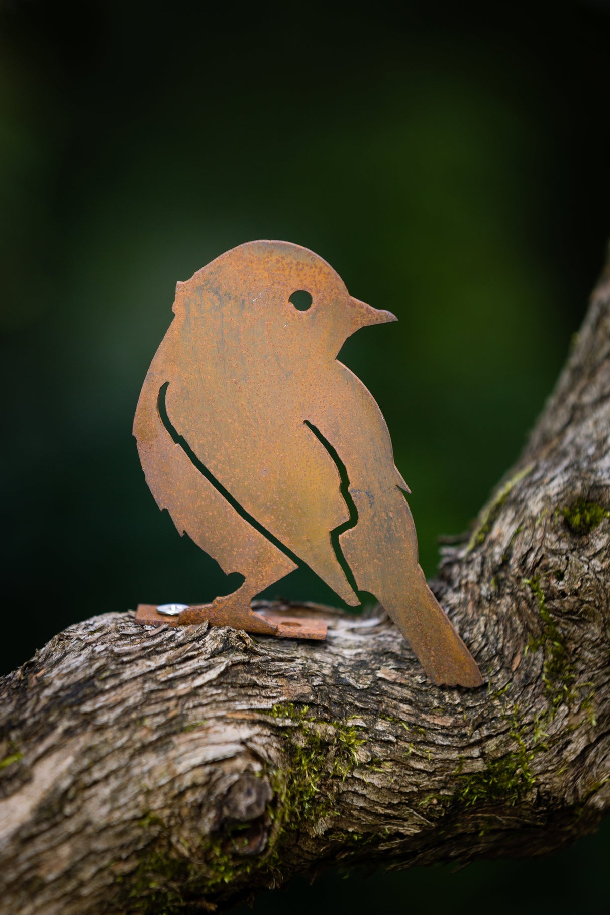 Yellow Warbler