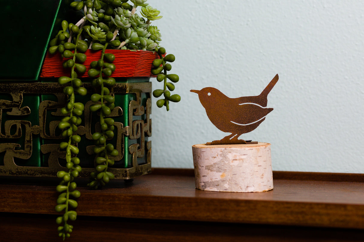 Carolina Wren