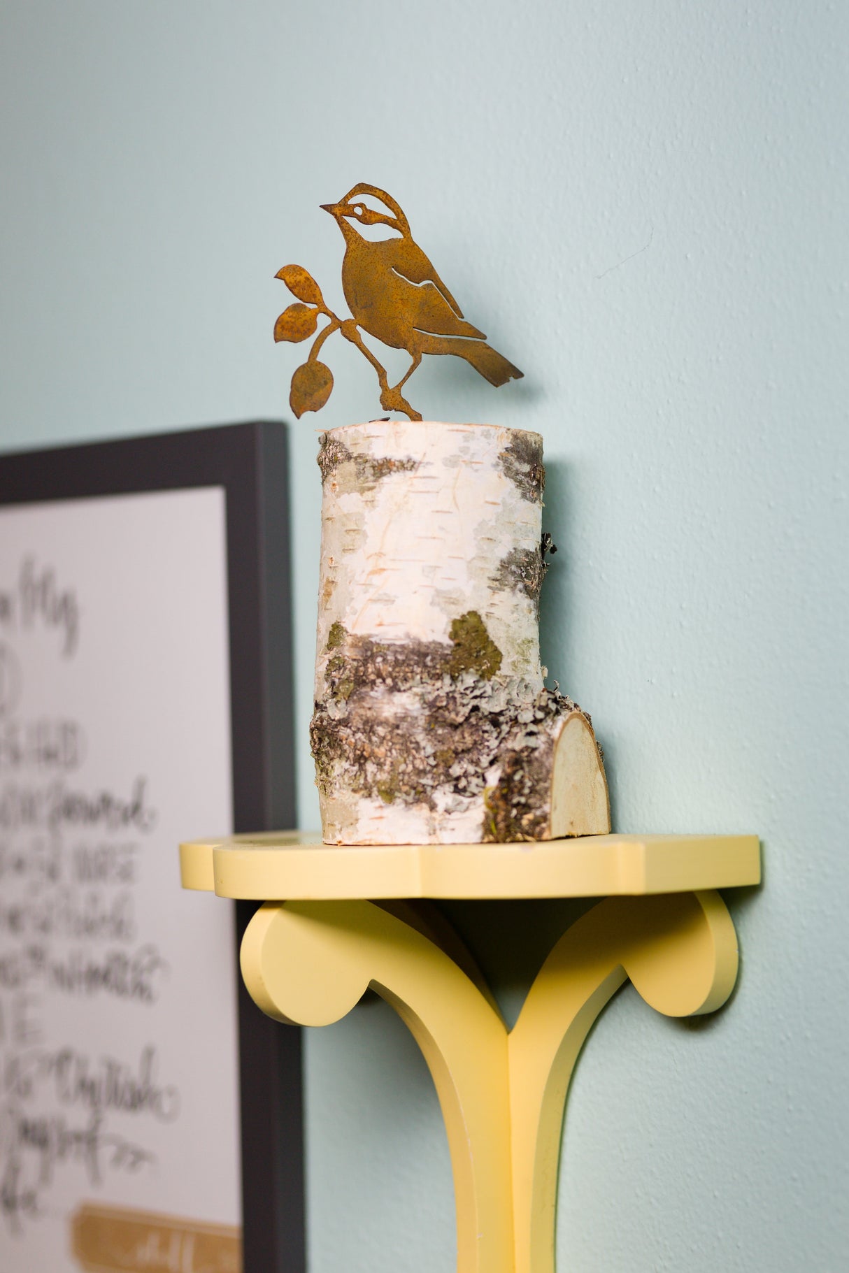 Black-Capped Chickadee