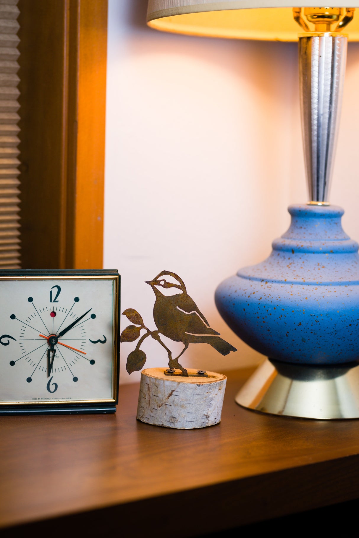 Black-Capped Chickadee