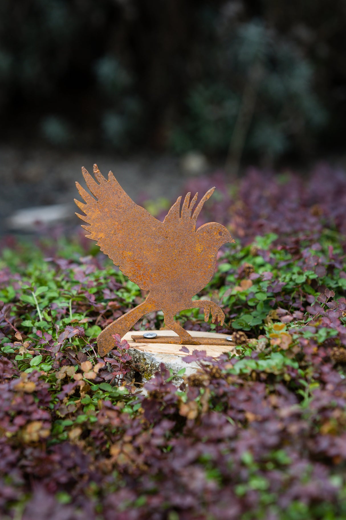Flying Bluebird