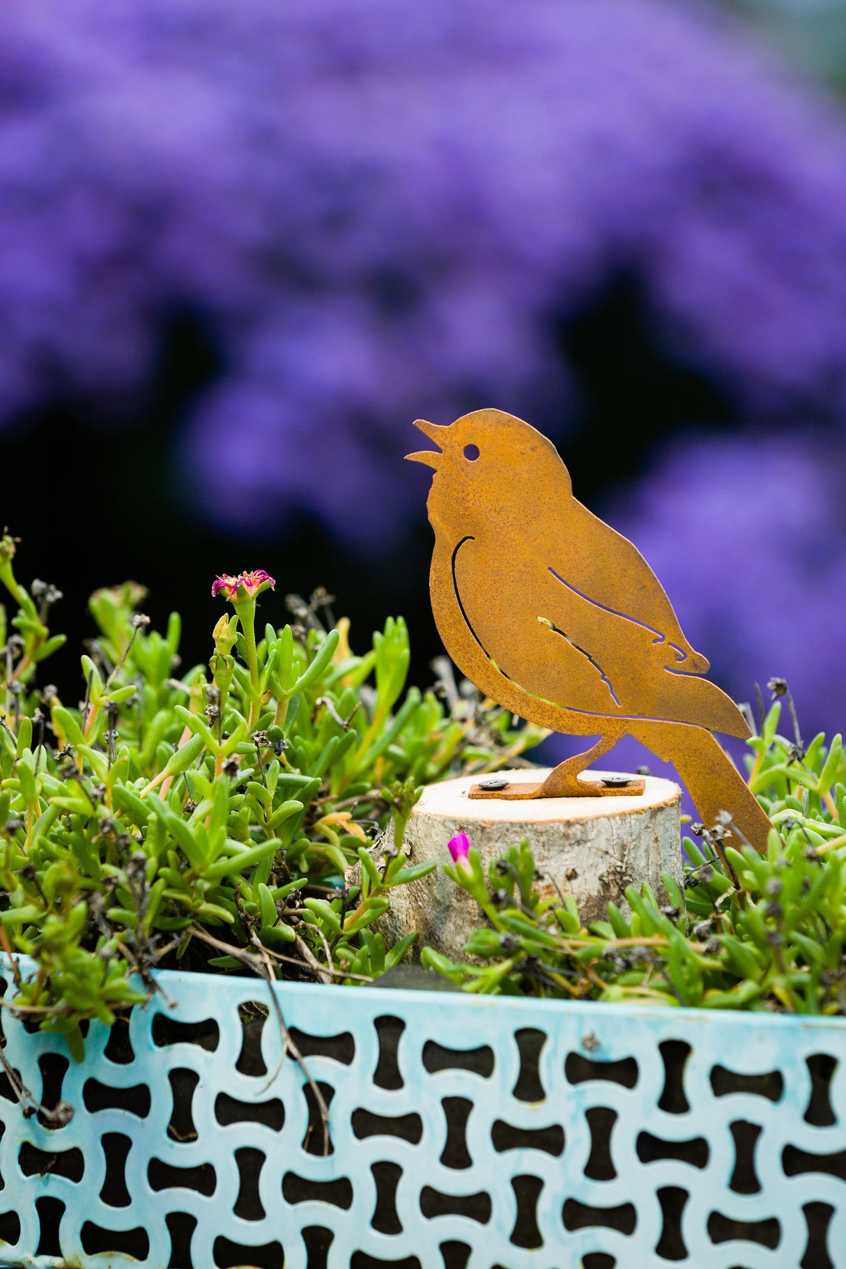 Painted Bunting
