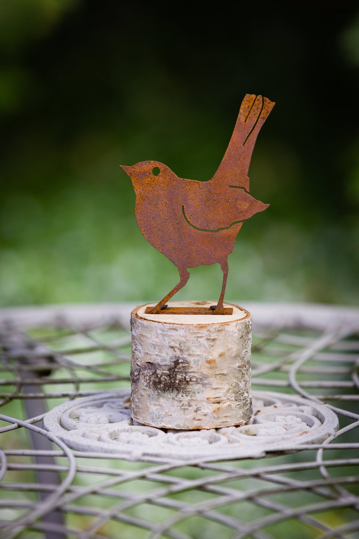 Baby Robin