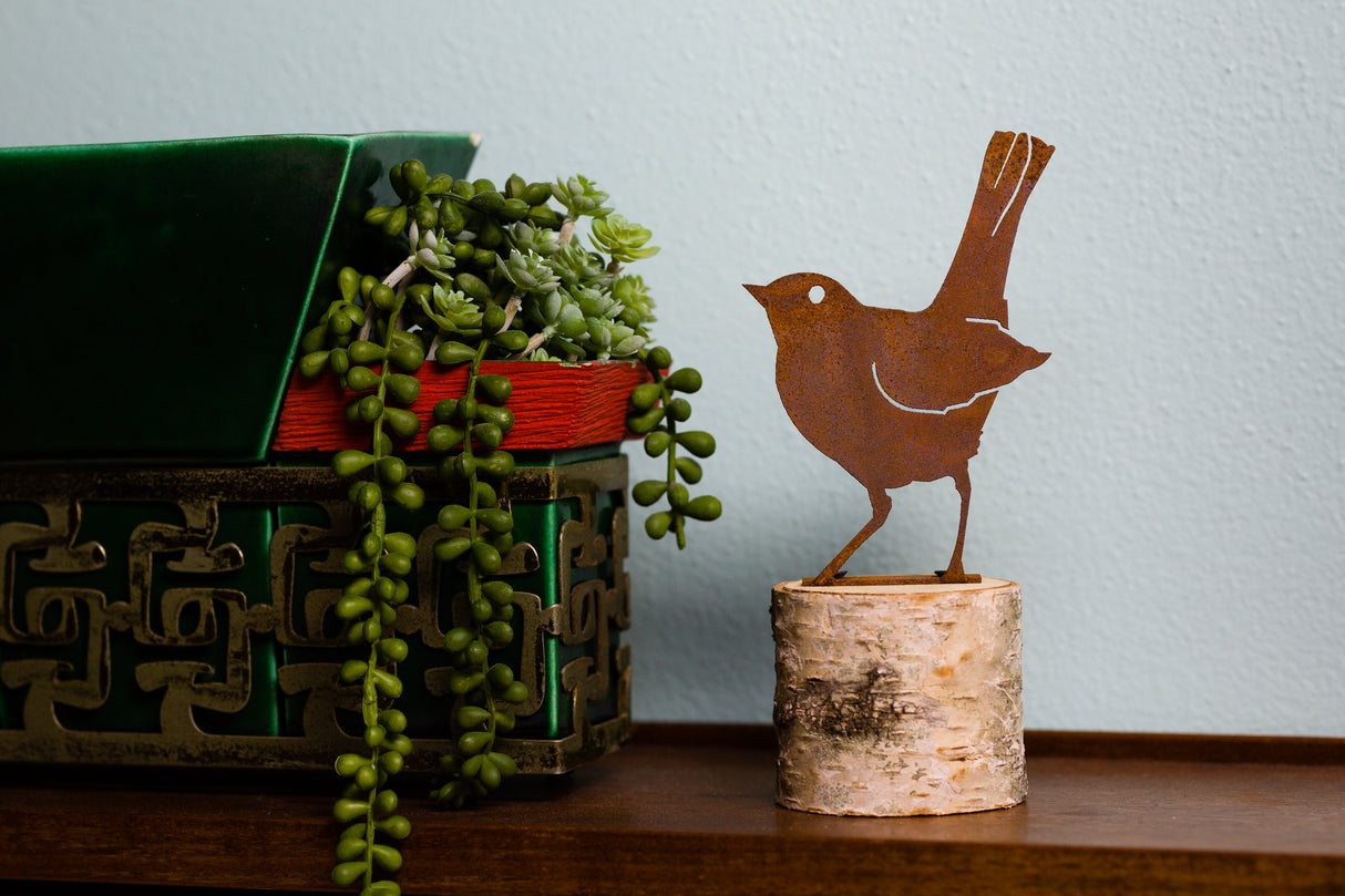 Baby Robin