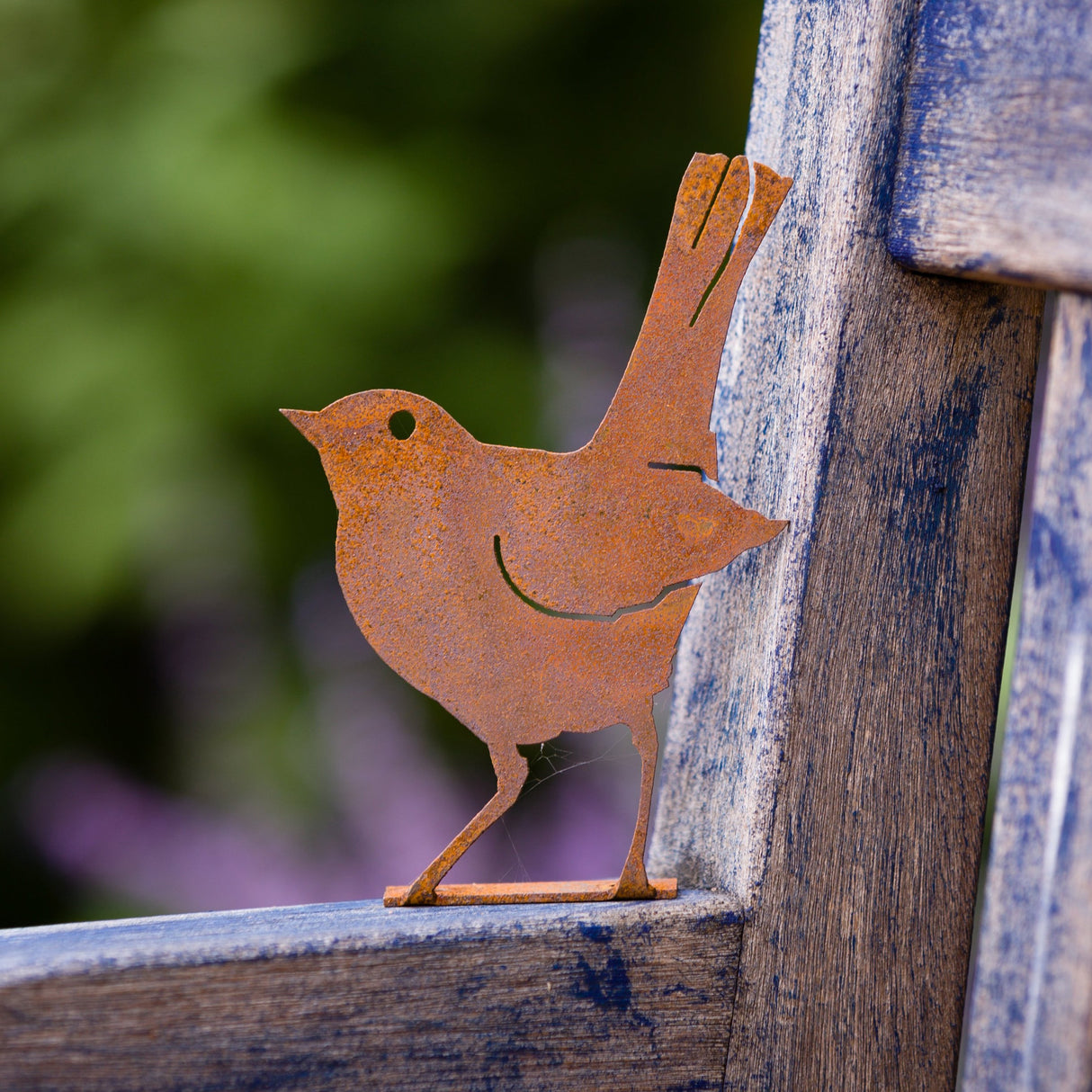 Baby Robin