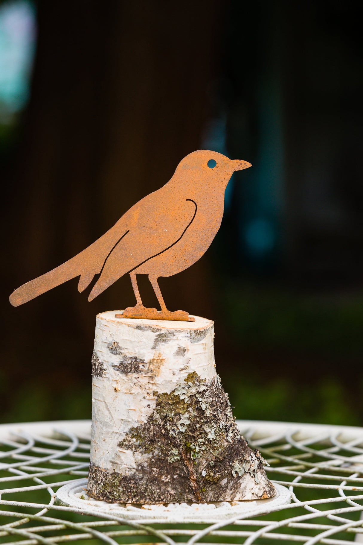 Robin