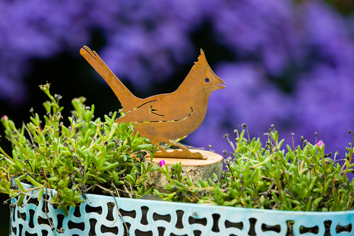 Cardinal