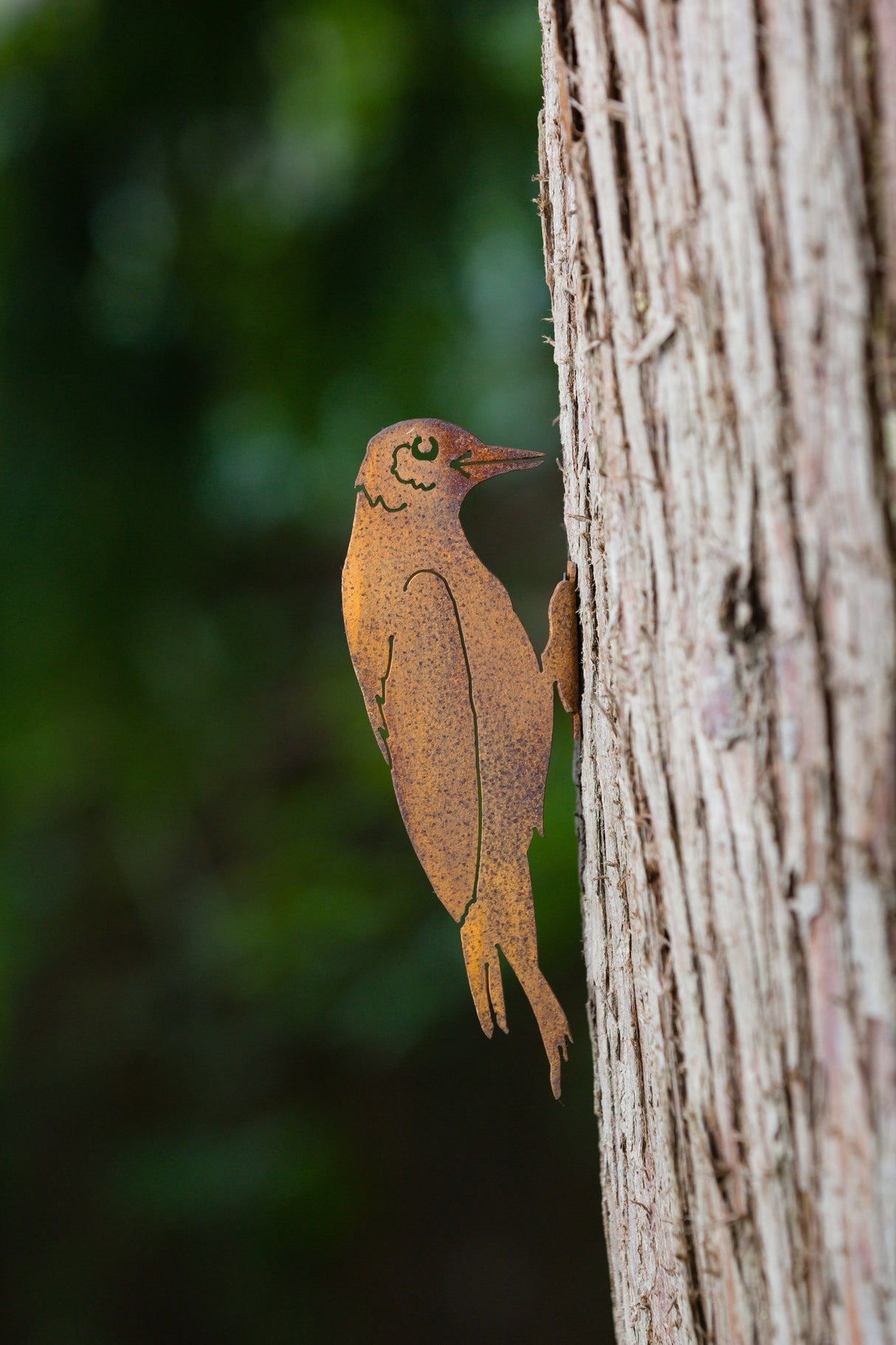 Woodpecker