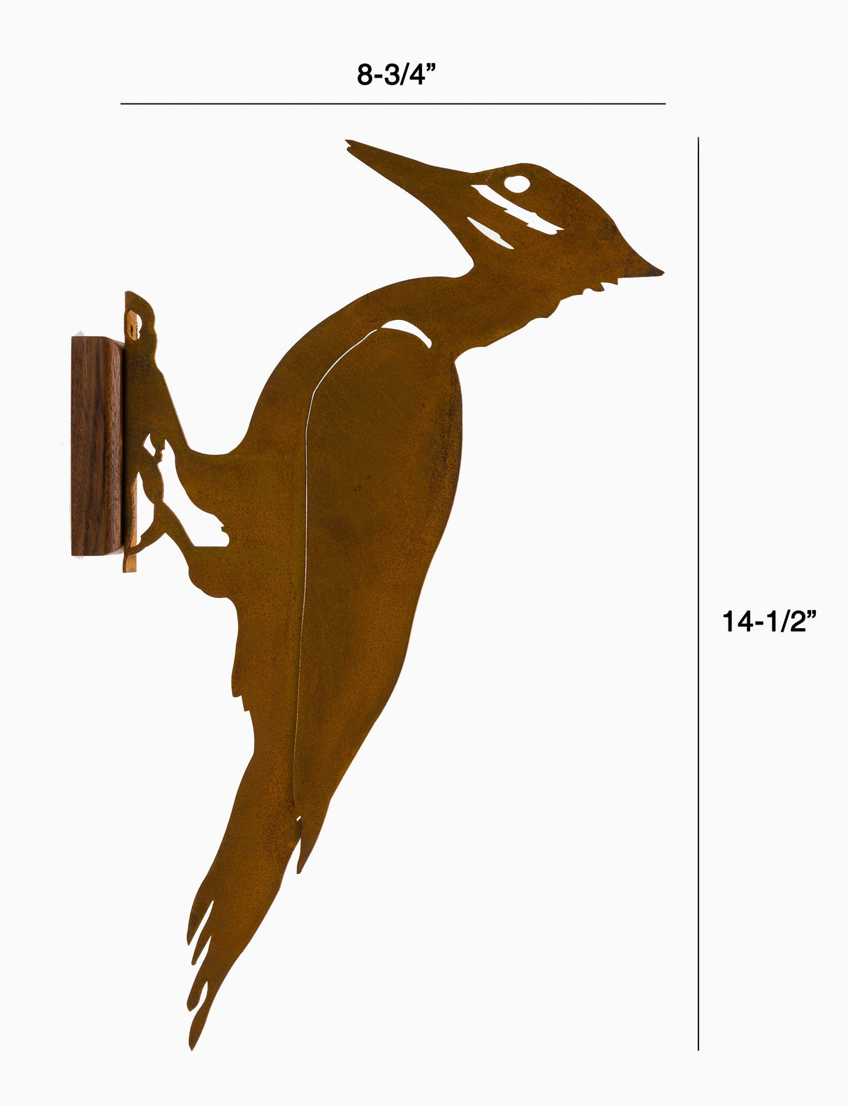 Pileated Woodpecker