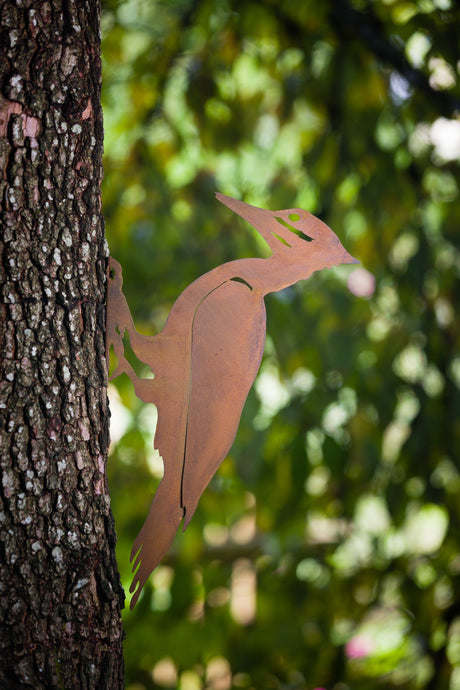 Pileated Woodpecker