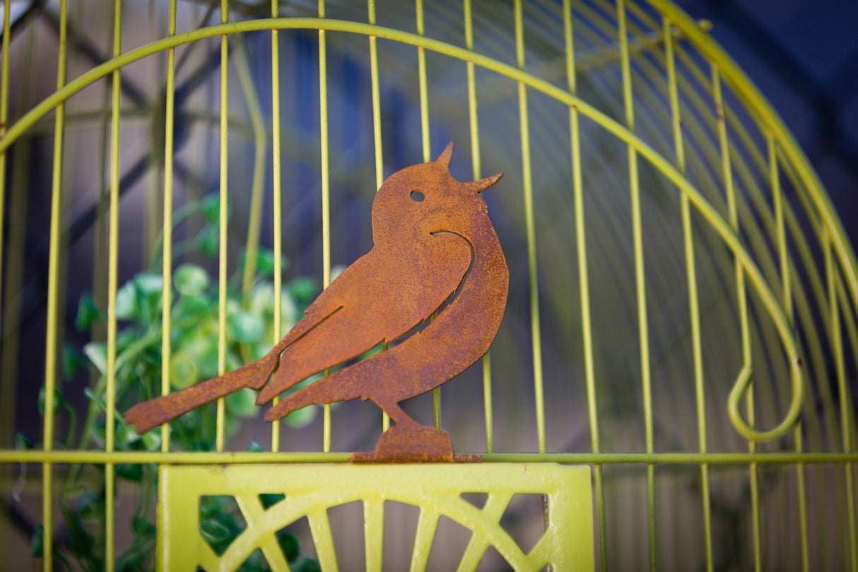 Singing Warbler